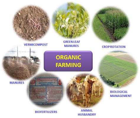 Farming Basics .